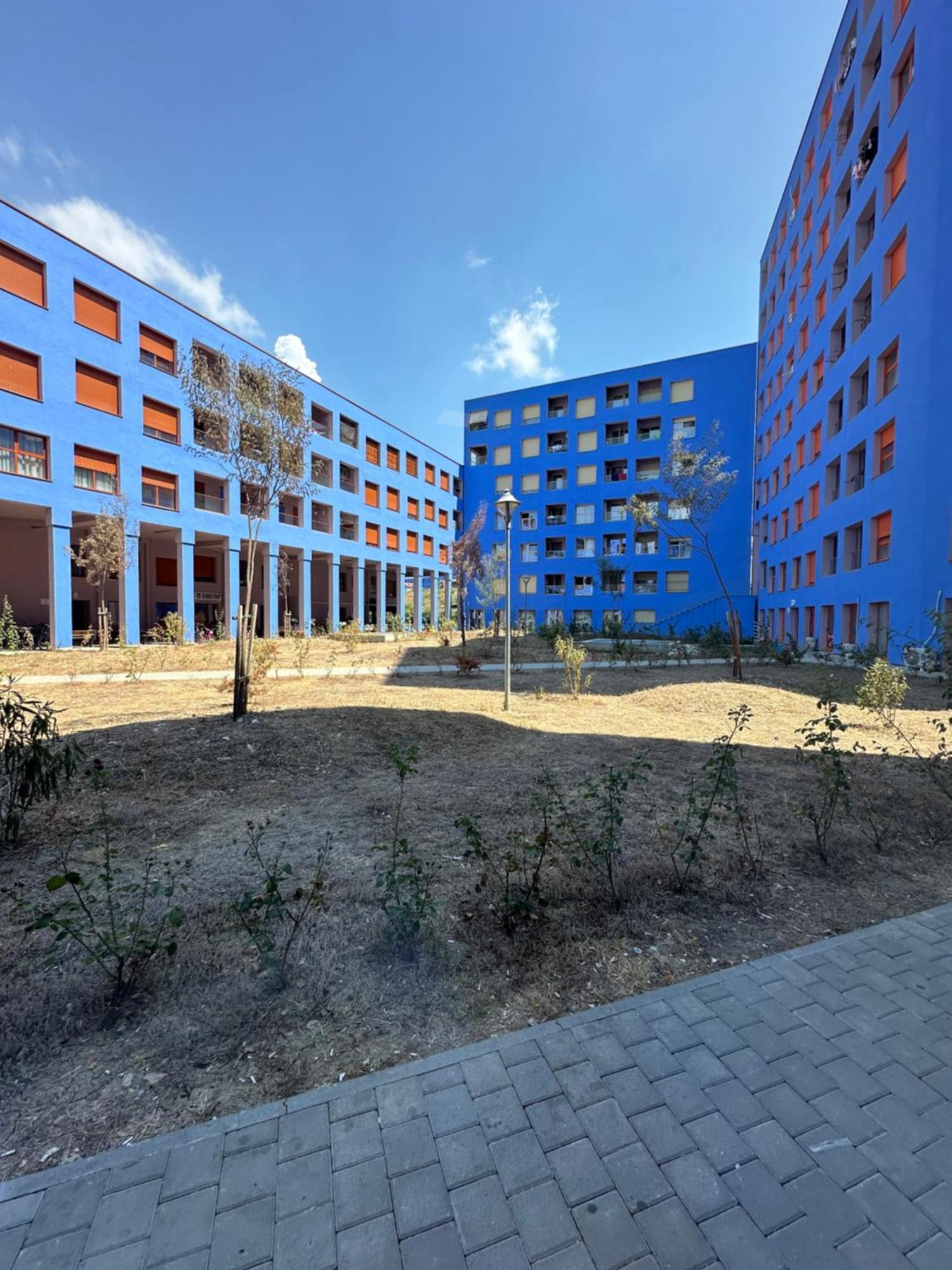 טיראנה Sunflower Apartment מראה חיצוני תמונה